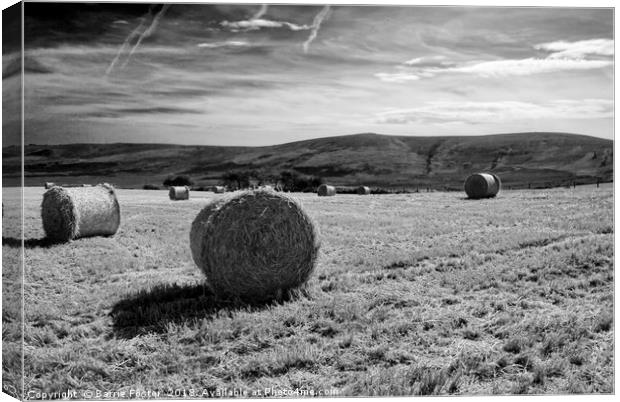 Preseli Backdrop #2 Canvas Print by Barrie Foster