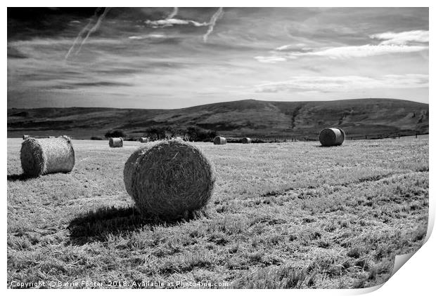 Preseli Backdrop #2 Print by Barrie Foster