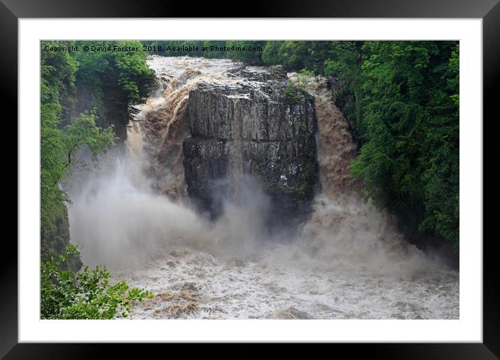 High Force in Flood, Teesdale, County Durham  Framed Mounted Print by David Forster