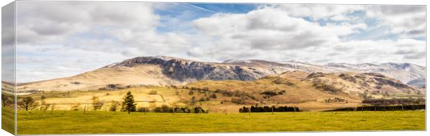 Mountain View Canvas Print by Naylor's Photography