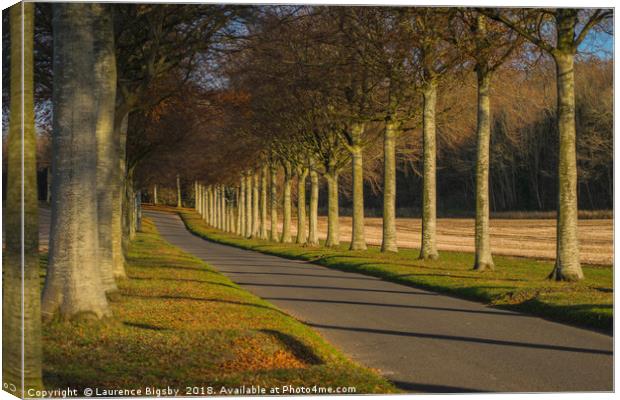 The Avenue Canvas Print by Laurence Bigsby