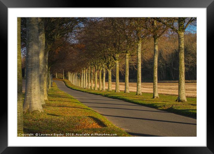 The Avenue Framed Mounted Print by Laurence Bigsby