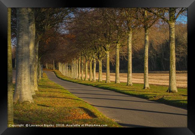 The Avenue Framed Print by Laurence Bigsby