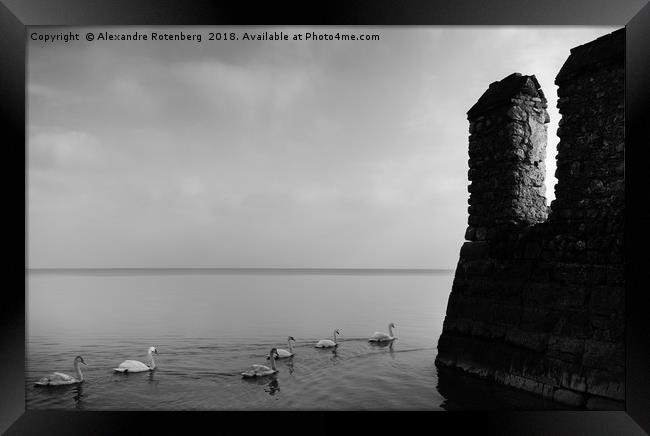 Row of ducks next to fortification Framed Print by Alexandre Rotenberg