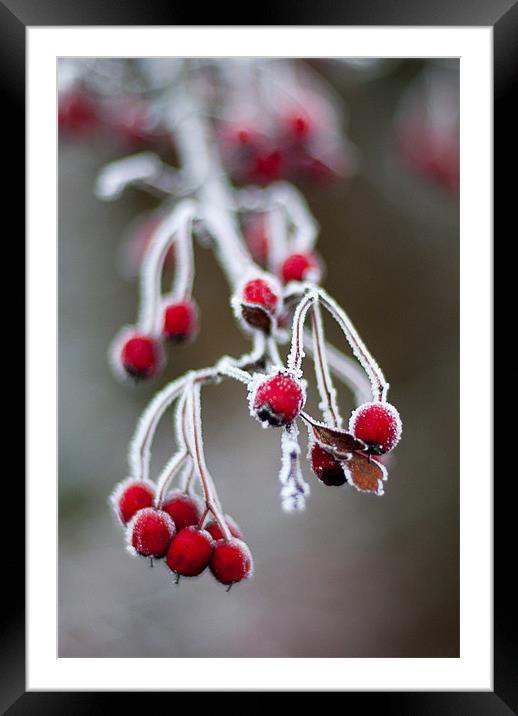 Red & White Framed Mounted Print by Declan Howard