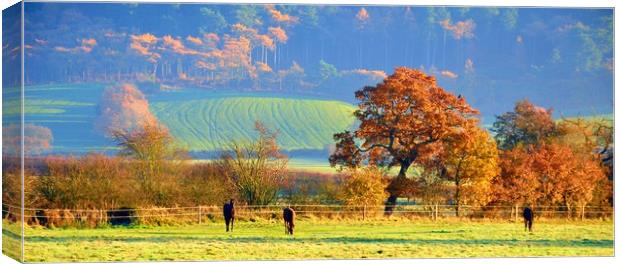 autumn in cheshire Canvas Print by sue davies