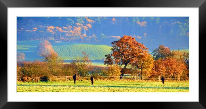 autumn in cheshire Framed Mounted Print by sue davies