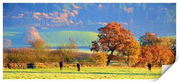 autumn in cheshire Print by sue davies