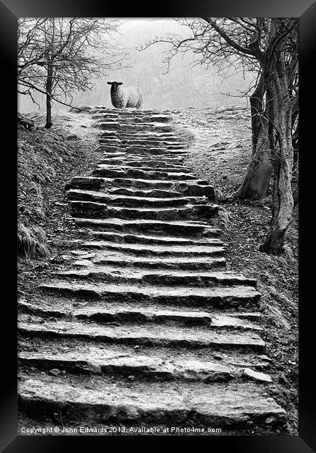Dovedale steps Framed Print by John Edwards