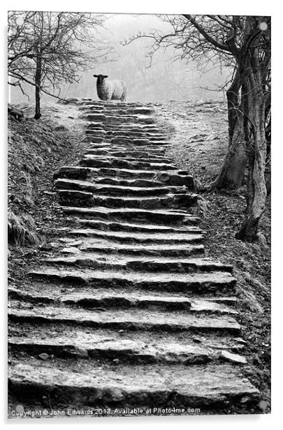 Dovedale steps Acrylic by John Edwards
