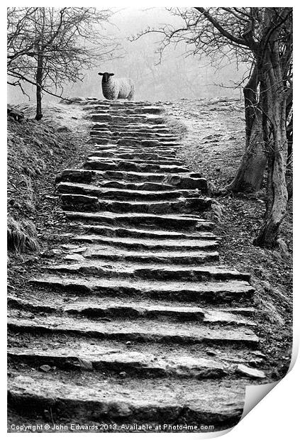 Dovedale steps Print by John Edwards