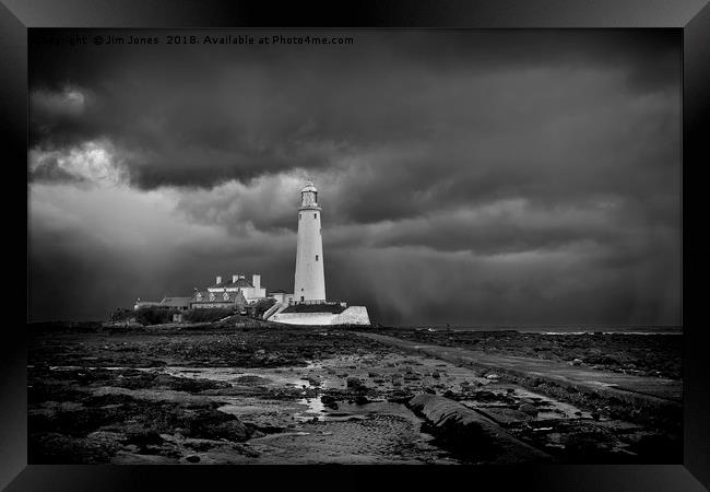St Mary's Lighthouse and Island in B&W Framed Print by Jim Jones
