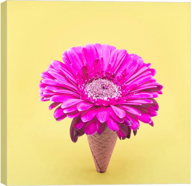 Flower Ice Cream Cone Canvas Print by Martha Lilia Guzmán Marín