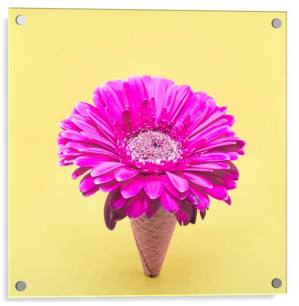 Flower Ice Cream Cone Acrylic by Martha Lilia Guzmán Marín