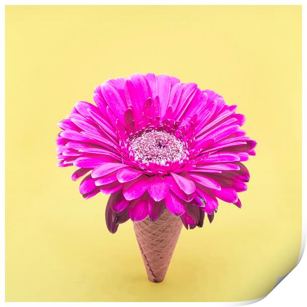 Flower Ice Cream Cone Print by Martha Lilia Guzmán Marín