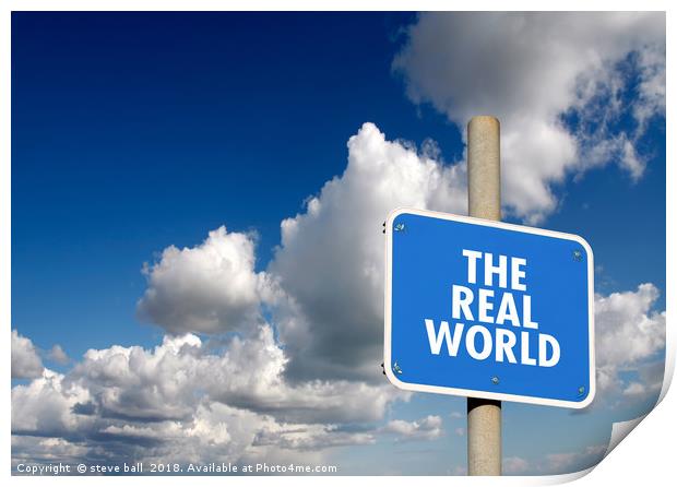 The real world  Print by steve ball