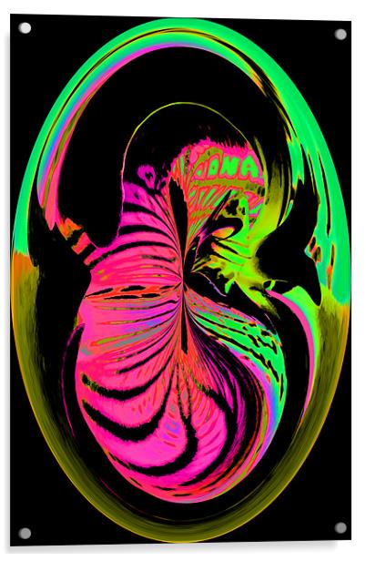 Embrio Acrylic by Ian Jeffrey