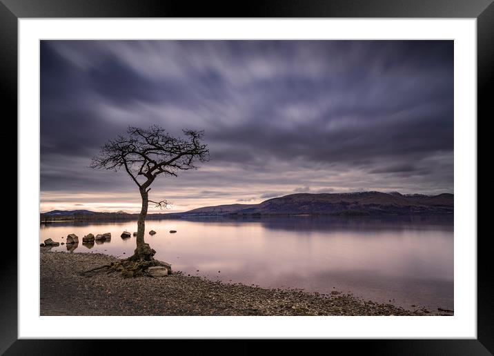 Loch Lomond, Milarrochy Bay tree, Scottish Highlan Framed Mounted Print by John Finney