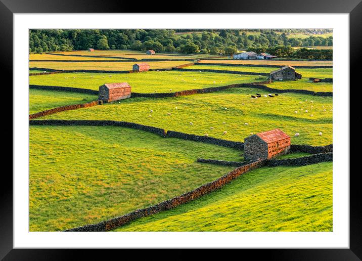 Yorkshire Barns at sunset, Swaledale Framed Mounted Print by John Finney