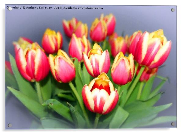  Spring Tulips                  Acrylic by Anthony Kellaway