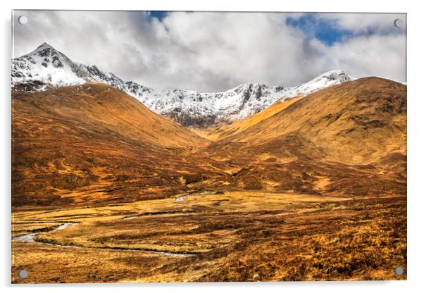 Highland Glen Acrylic by David Hare