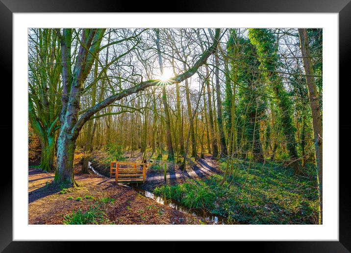 Sunrise at Hartsholme Country Park, Lincoln Framed Mounted Print by Andrew Scott