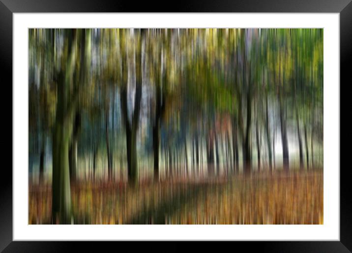 Woodland Blur Framed Mounted Print by Kevin Round