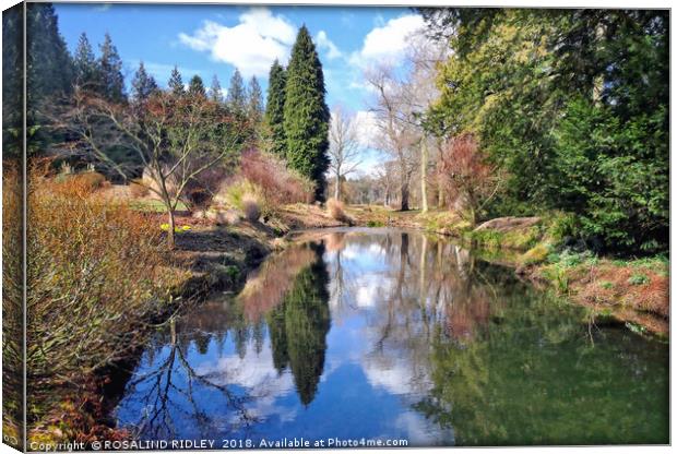 "Reflections at Thorp Perrow" Canvas Print by ROS RIDLEY