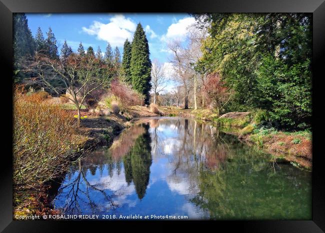 "Reflections at Thorp Perrow" Framed Print by ROS RIDLEY