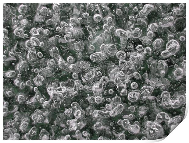 ice bubbles Print by Heather Newton