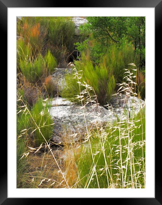 Extremaduran grasses Framed Mounted Print by Michael Ffontas