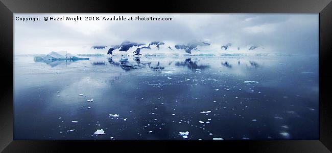 Wilhelmina Bay, Antarctica Framed Print by Hazel Wright