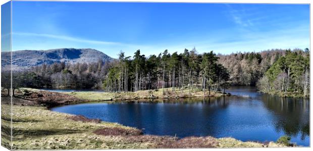 Tarn How Canvas Print by Brian Spooner