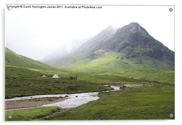 Glen Coe, Scotland Acrylic by Sarah Harrington-James