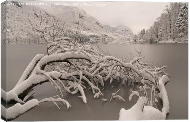 Frozen Lake Bohinj Canvas Print by rawshutterbug 