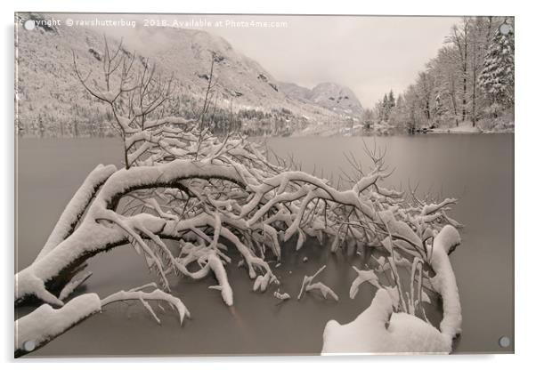 Frozen Lake Bohinj Acrylic by rawshutterbug 