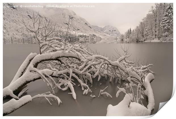 Frozen Lake Bohinj Print by rawshutterbug 