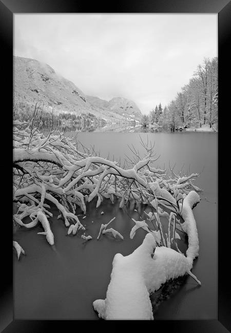 Wintry Lake Bohinj Framed Print by rawshutterbug 