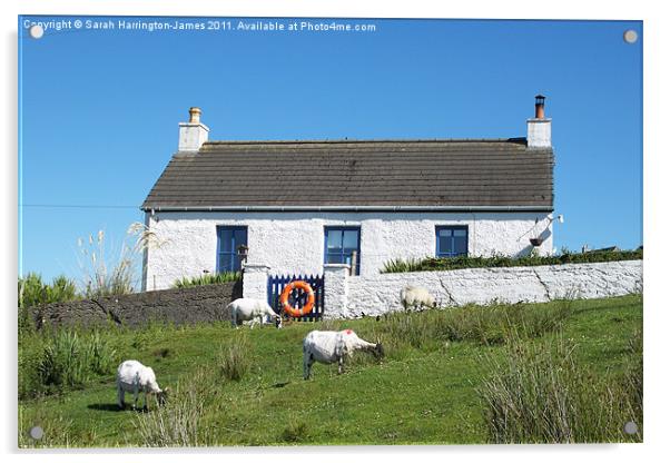 Croft on Isle of Mull Acrylic by Sarah Harrington-James