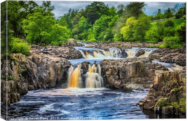 Low Force, River Tees Canvas Print by Trevor Camp