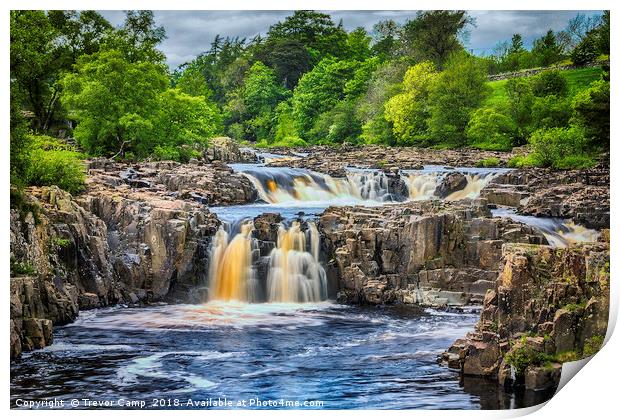 Low Force, River Tees Print by Trevor Camp