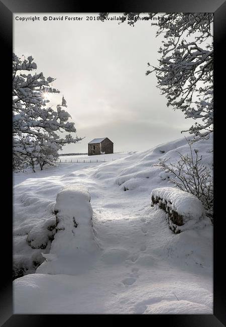 North Pennine Winter Wonderland Framed Print by David Forster