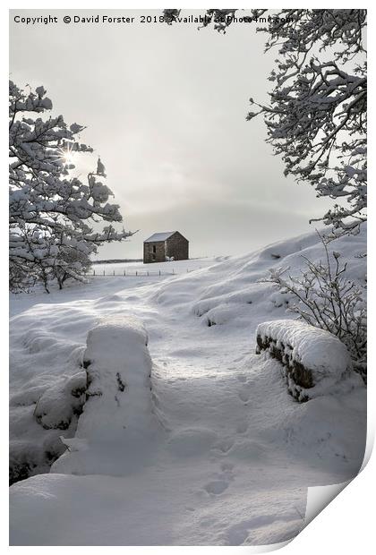 North Pennine Winter Wonderland Print by David Forster