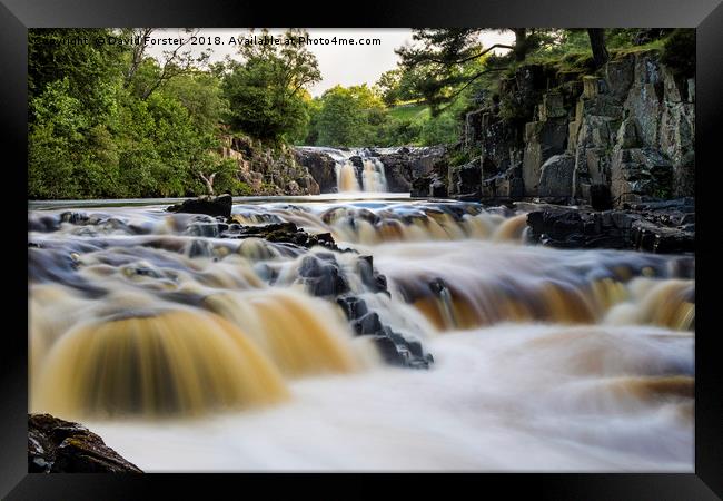 The River Tees at Low Force, Upper Teesdale. Framed Print by David Forster