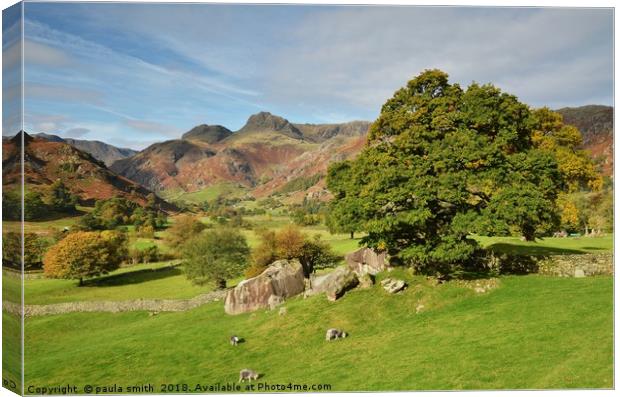 Langdale Boulders Canvas Print by paula smith