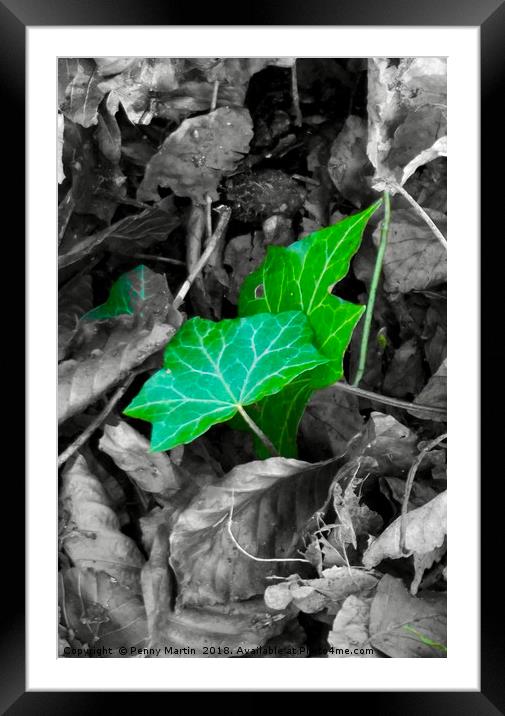                               Green Leaves Framed Mounted Print by Penny Martin