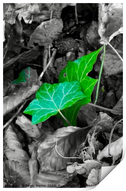                               Green Leaves Print by Penny Martin