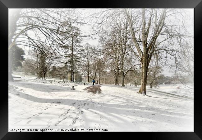 Snowy day at Cockington Country Park in Torquay Framed Print by Rosie Spooner