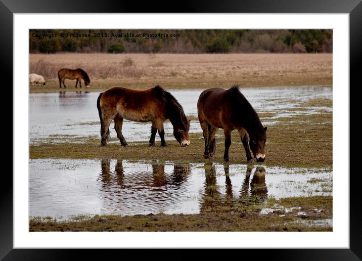 Thirsty horses Framed Mounted Print by Jim Jones