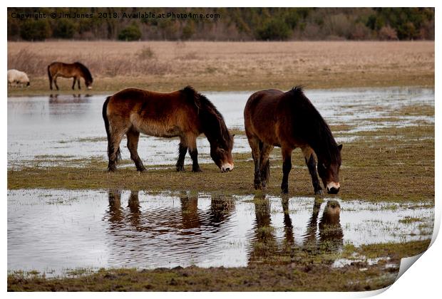 Thirsty horses Print by Jim Jones
